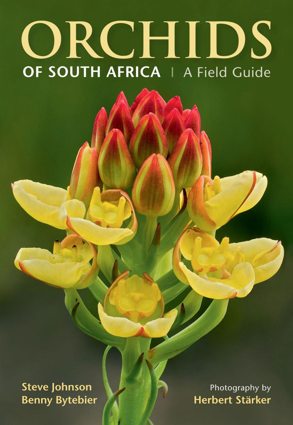 Big bigCover of Orchids of South Africa