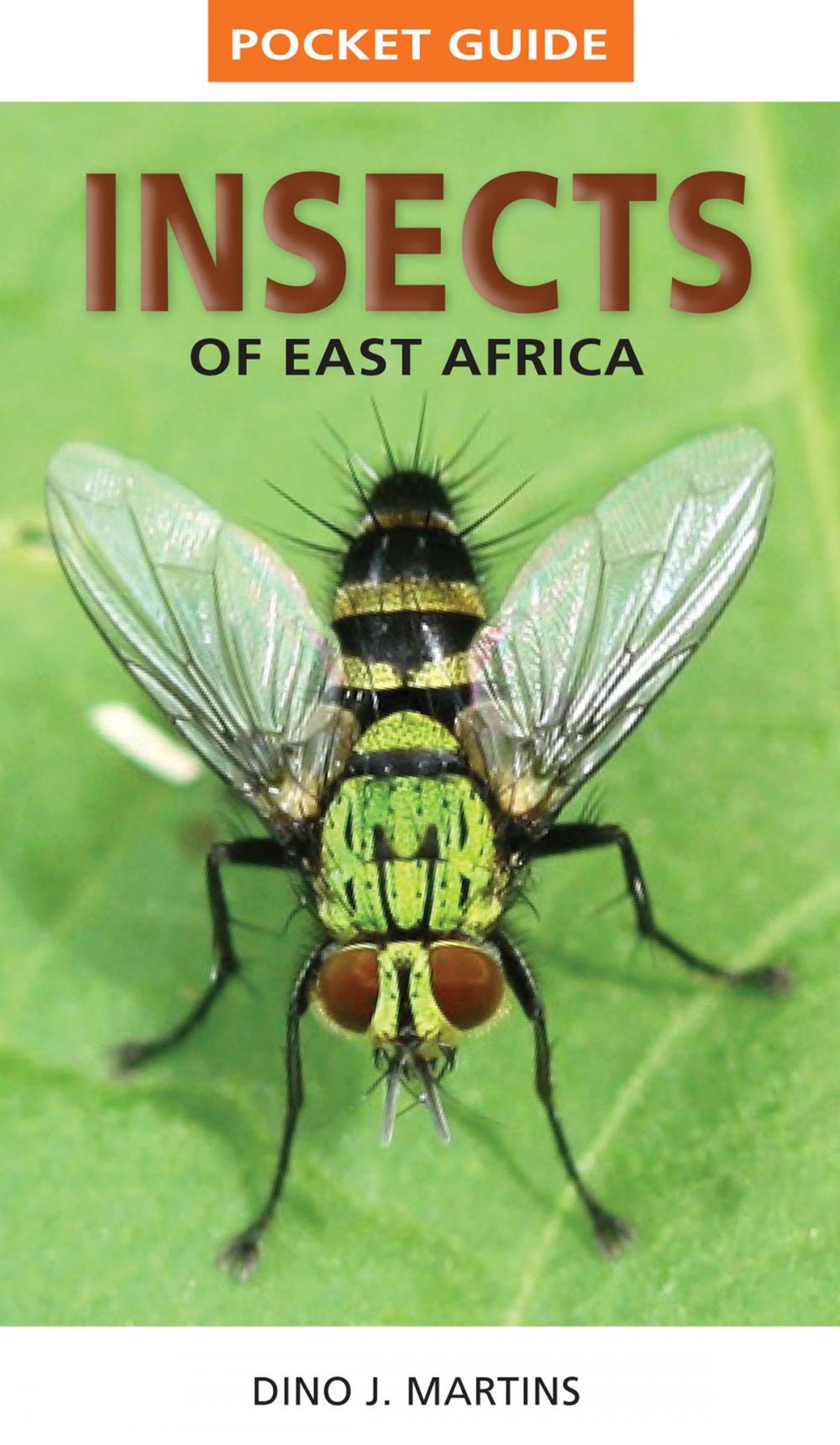 Big bigCover of Pocket Guide Insects of East Africa