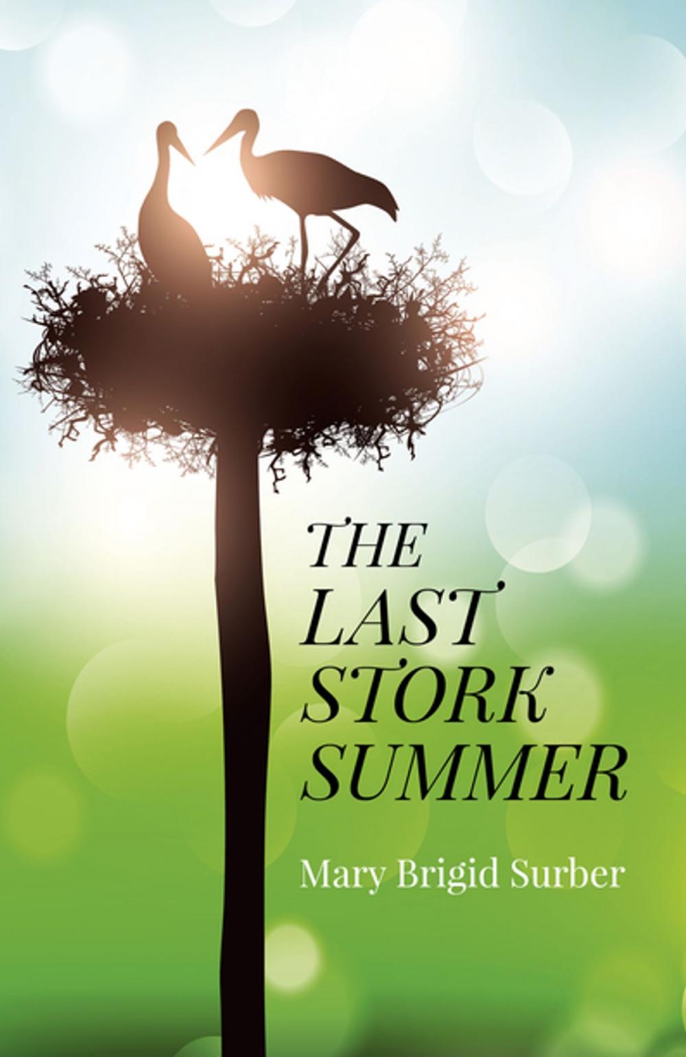 Big bigCover of The Last Stork Summer