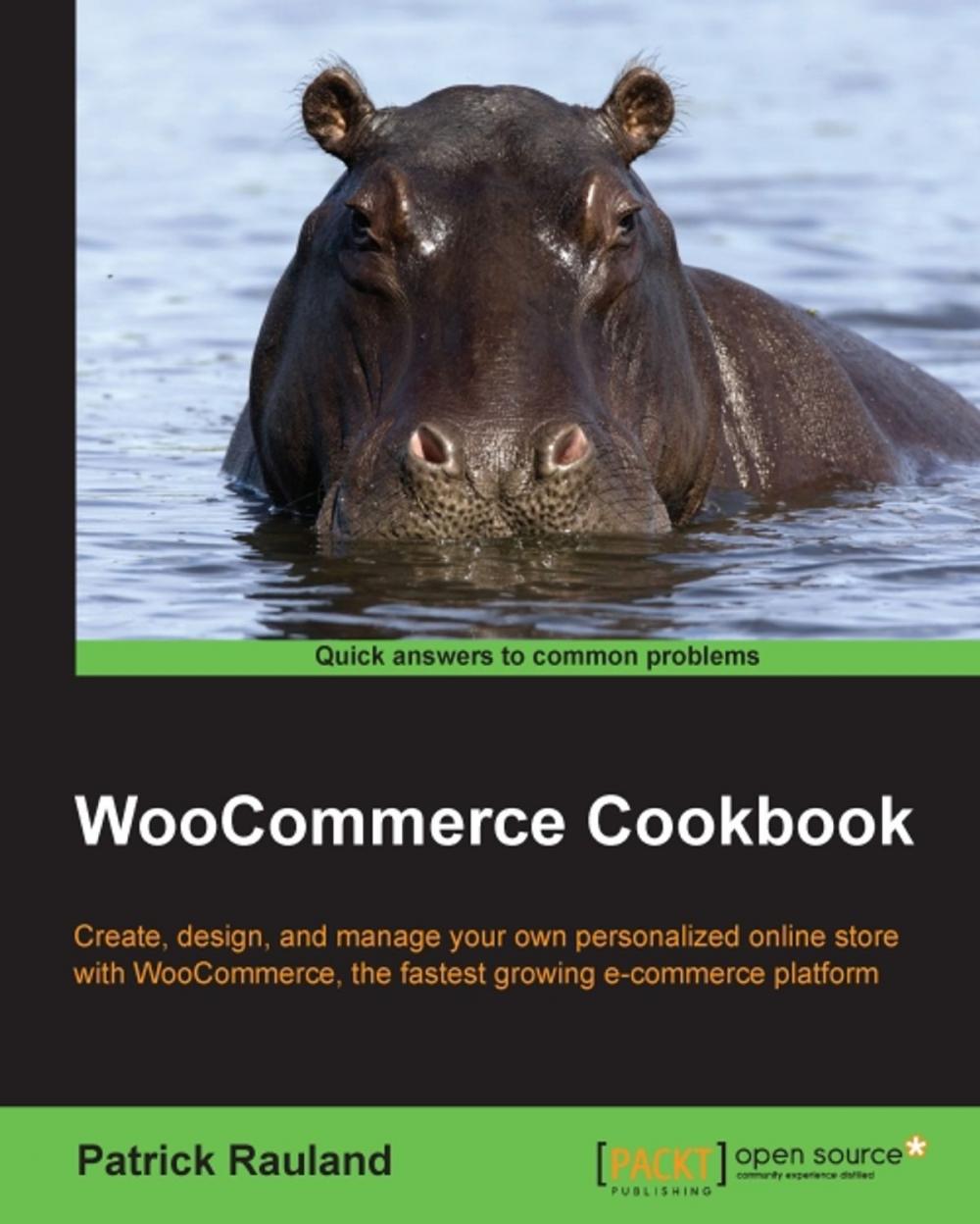 Big bigCover of WooCommerce Cookbook