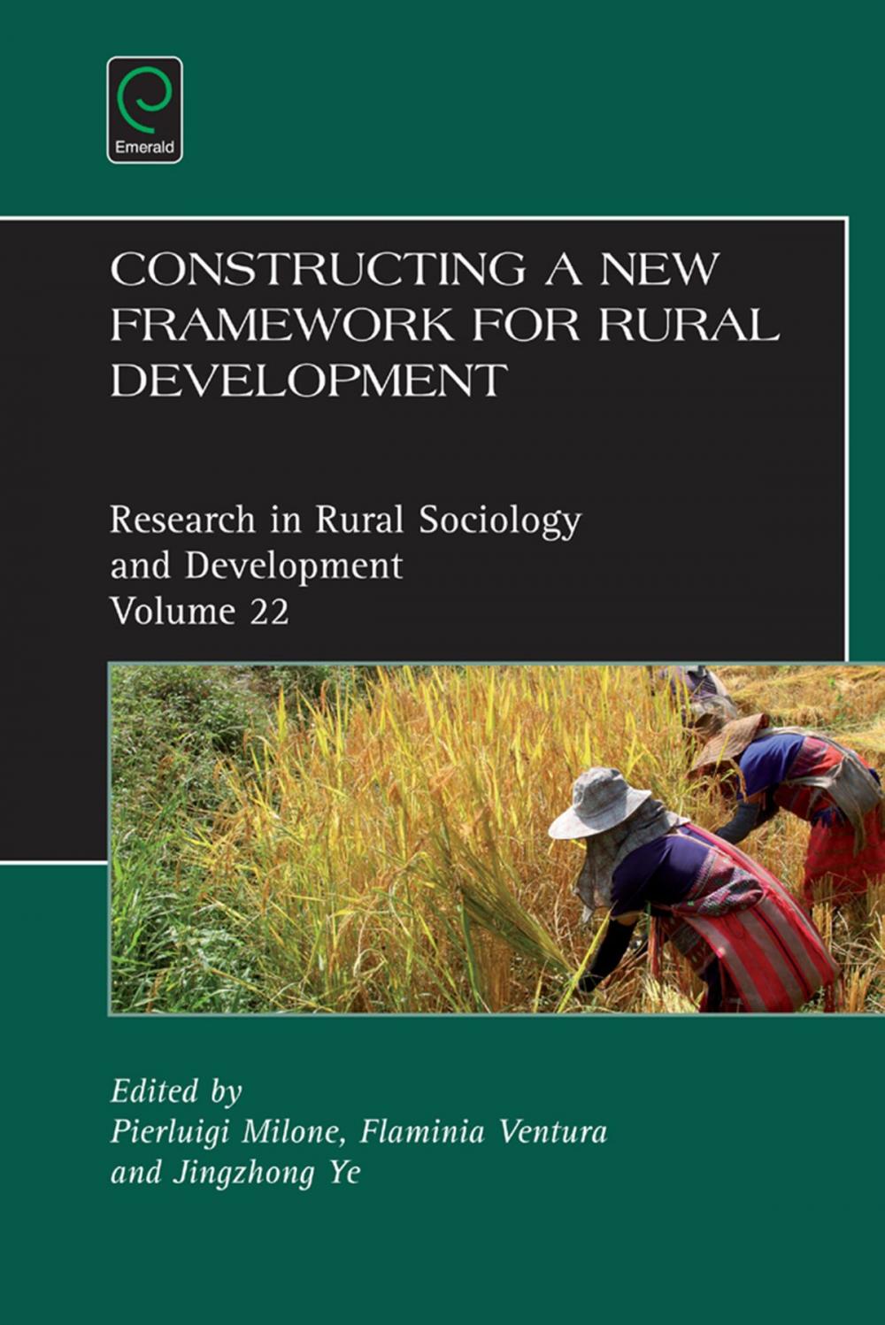 Big bigCover of Constructing a new framework for rural development