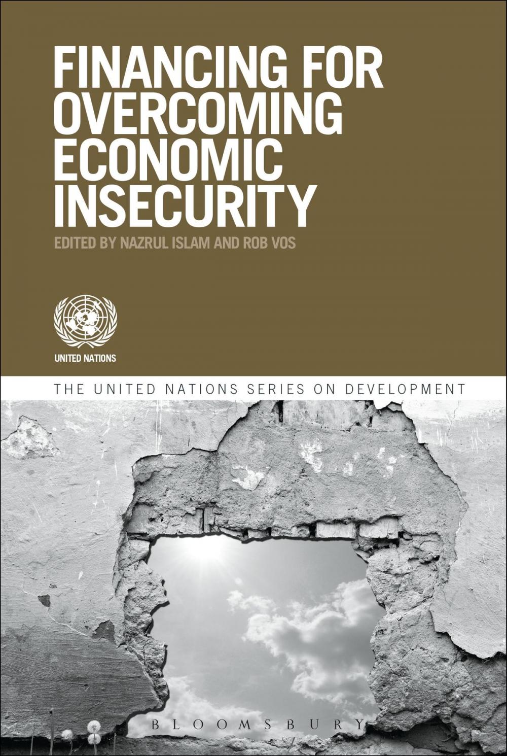 Big bigCover of Financing for Overcoming Economic Insecurity