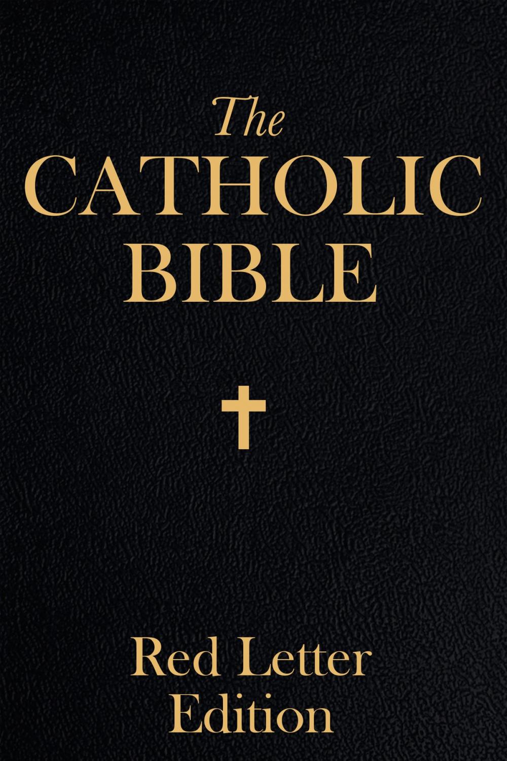 Big bigCover of Catholic Bible