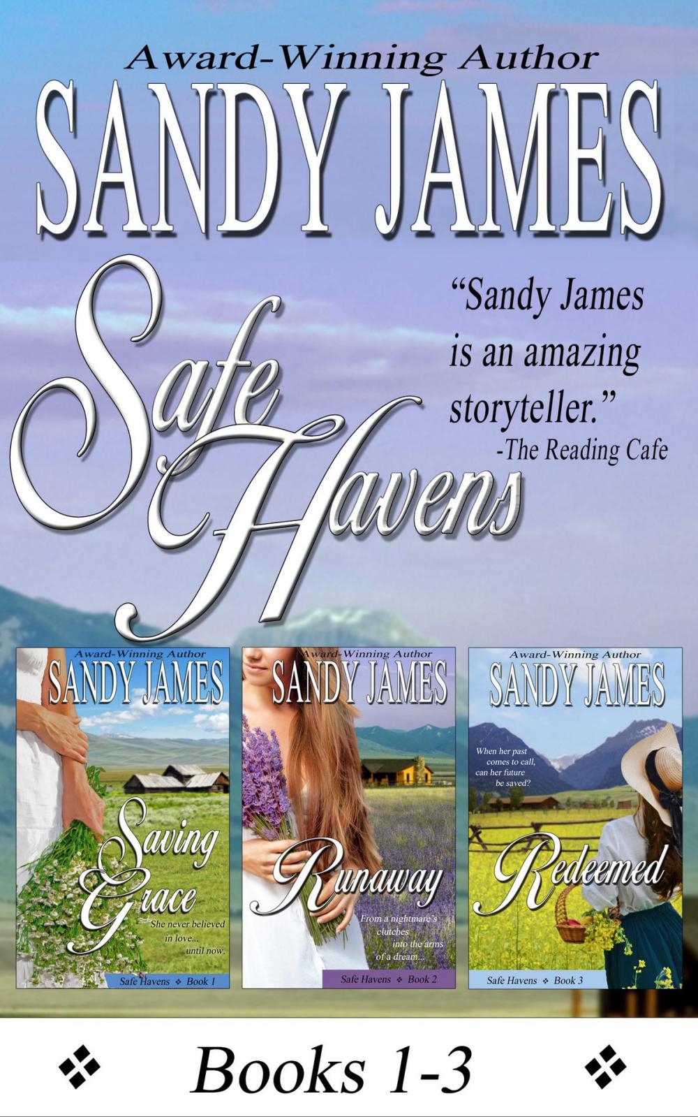 Big bigCover of Safe Havens Bundle