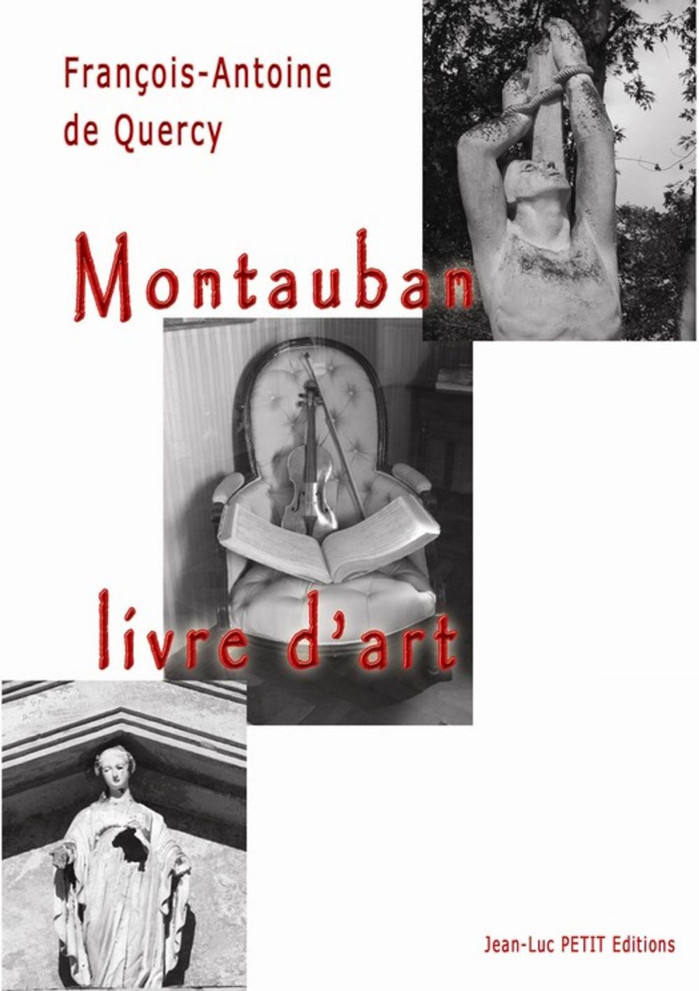 Big bigCover of Montauban, livre d'art