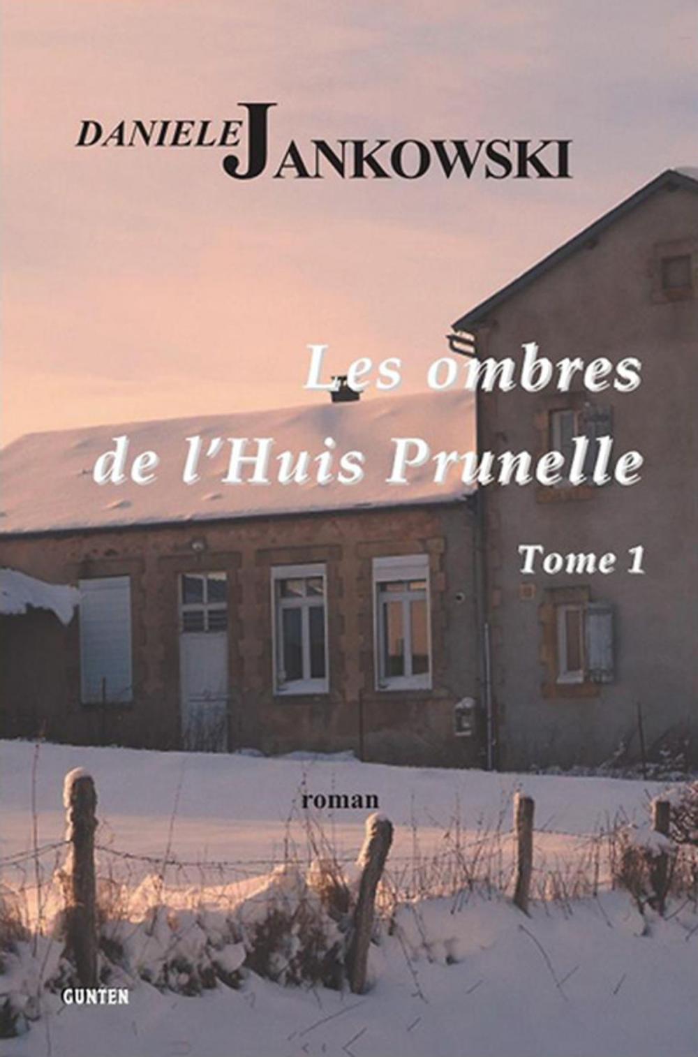 Big bigCover of Les ombres de l'Huis Prunelle - Tome 1