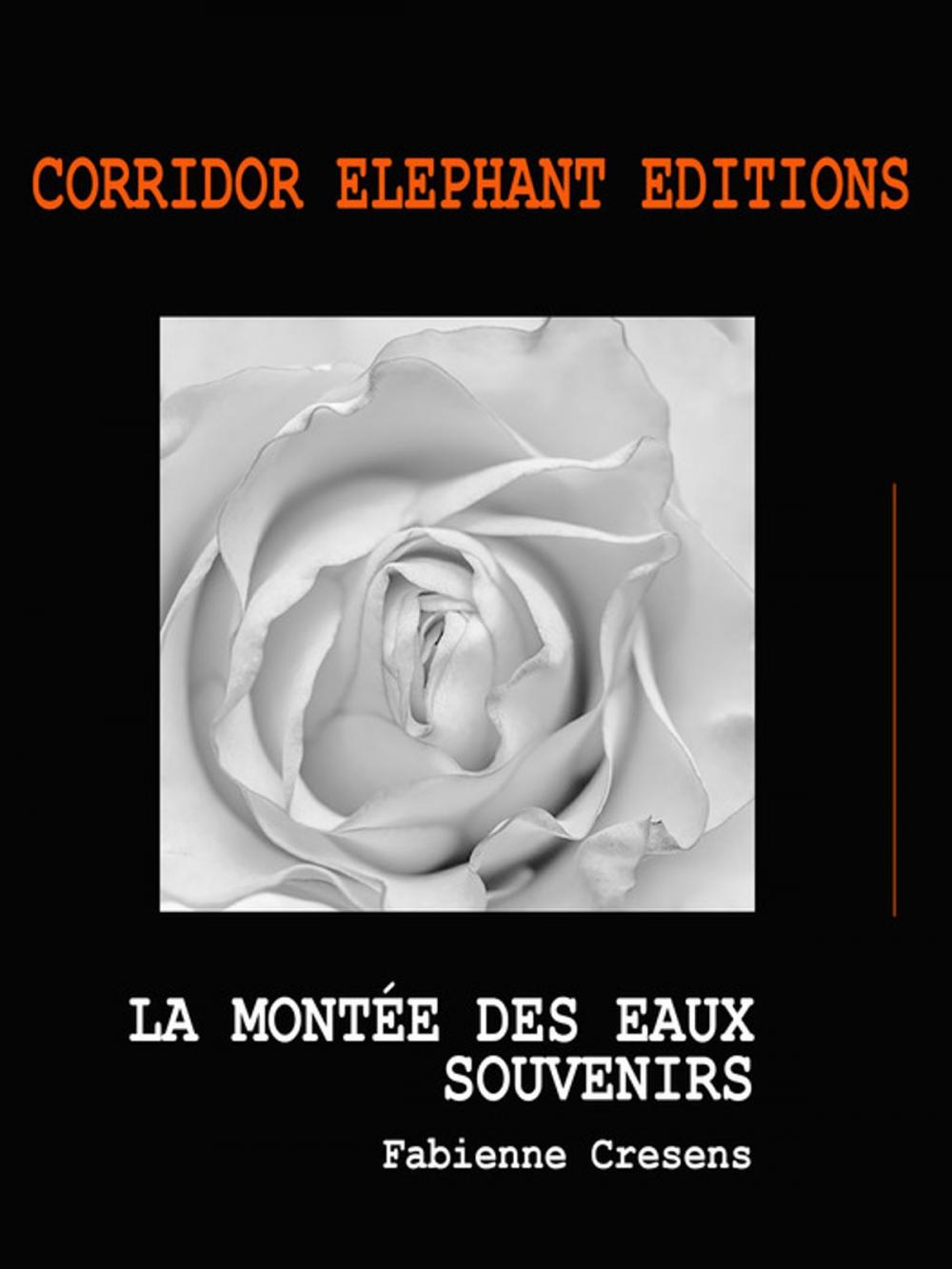 Big bigCover of La montée des eaux - Souvenirs