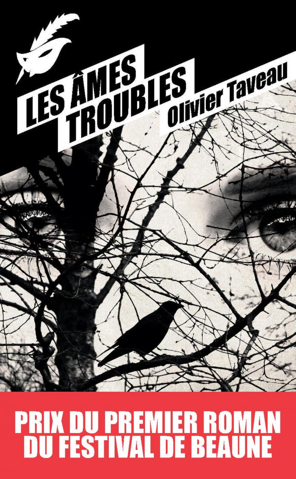 Big bigCover of Les Âmes troubles - Prix du premier roman du festival de Beaune 2015