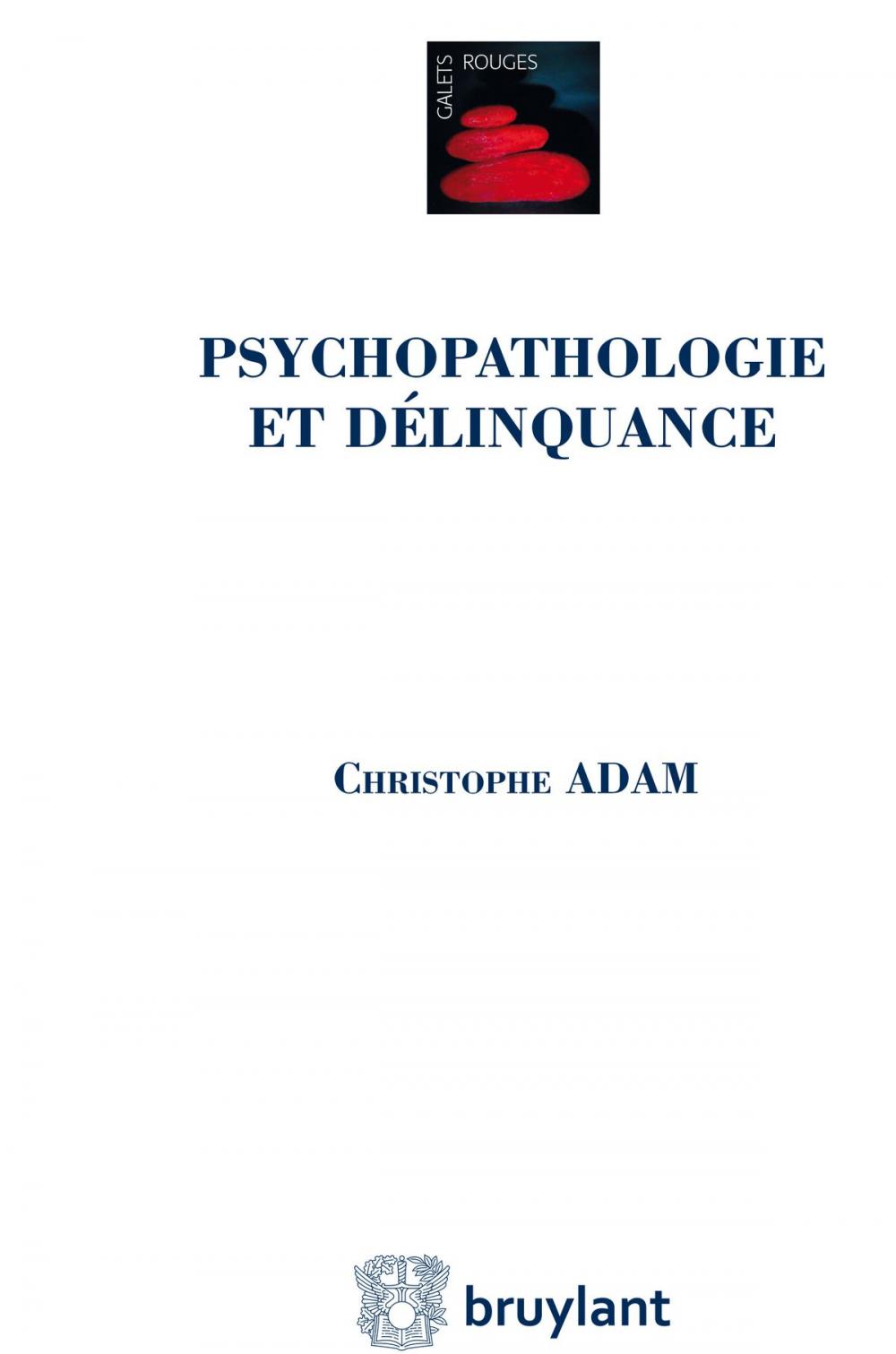 Big bigCover of Psychopathologie et délinquance