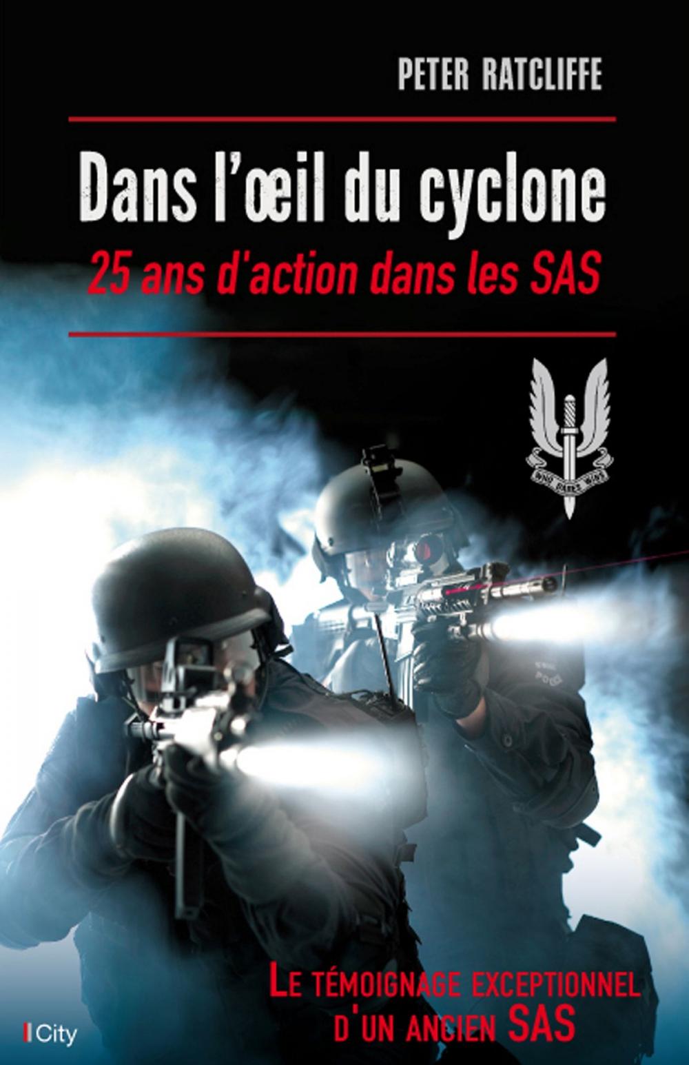 Big bigCover of Dans l'oeil du cyclone