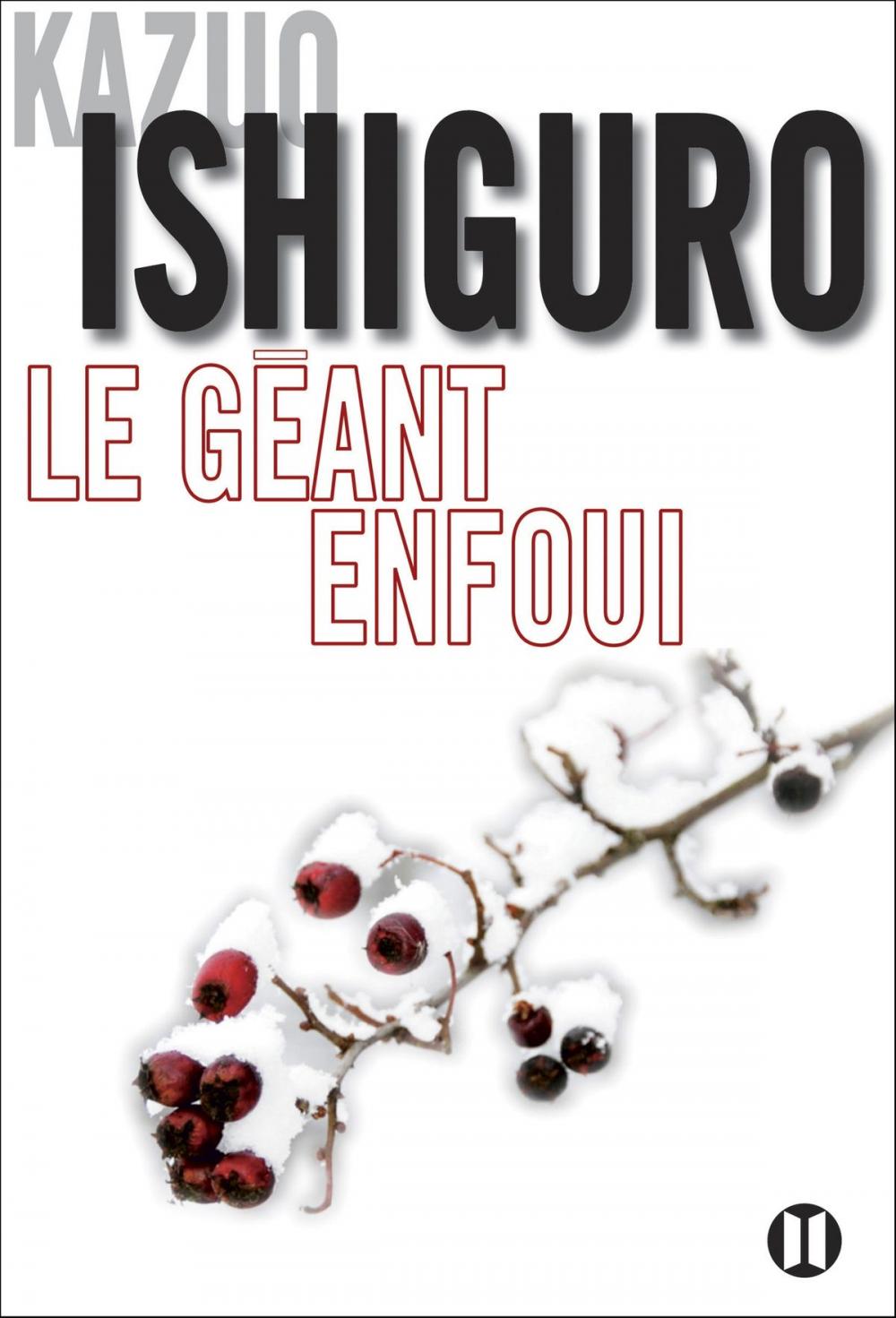 Big bigCover of Le géant enfoui