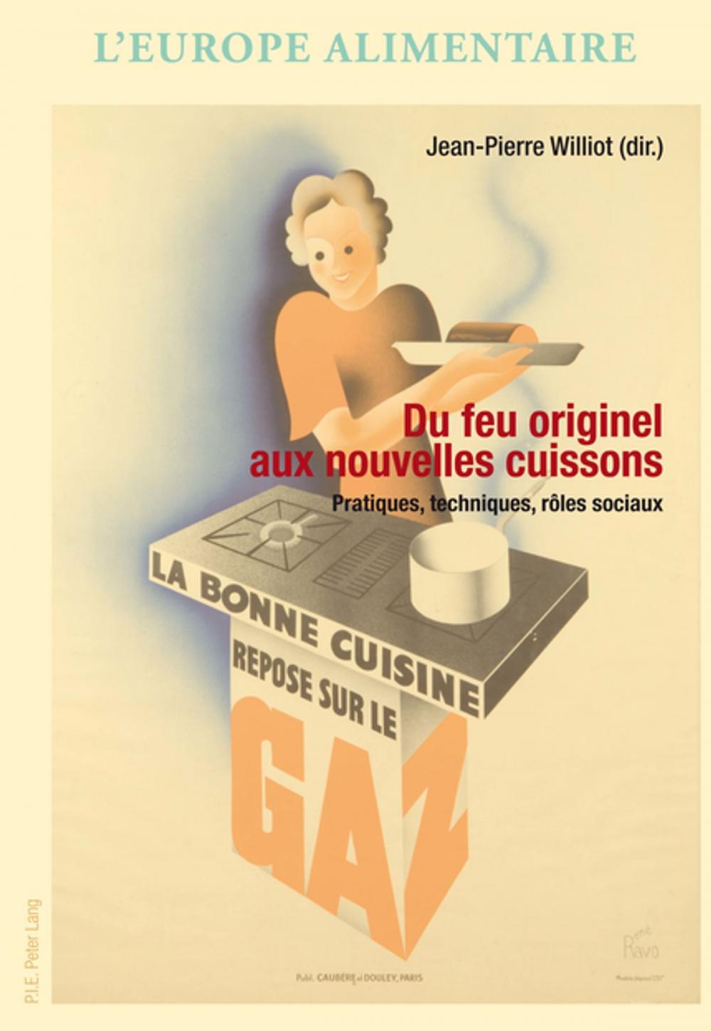 Big bigCover of Du feu originel aux nouvelles cuissons