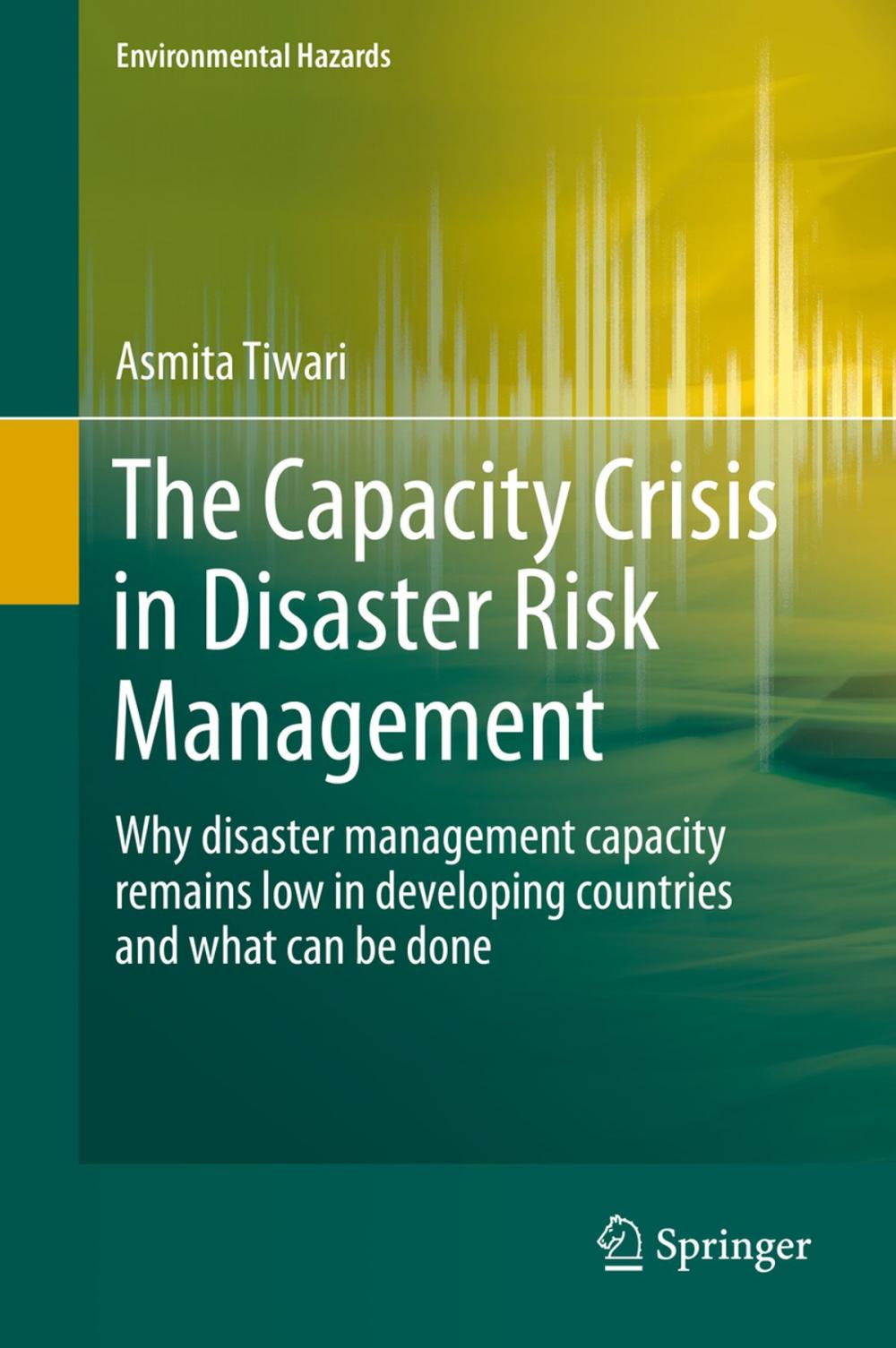 Big bigCover of The Capacity Crisis in Disaster Risk Management