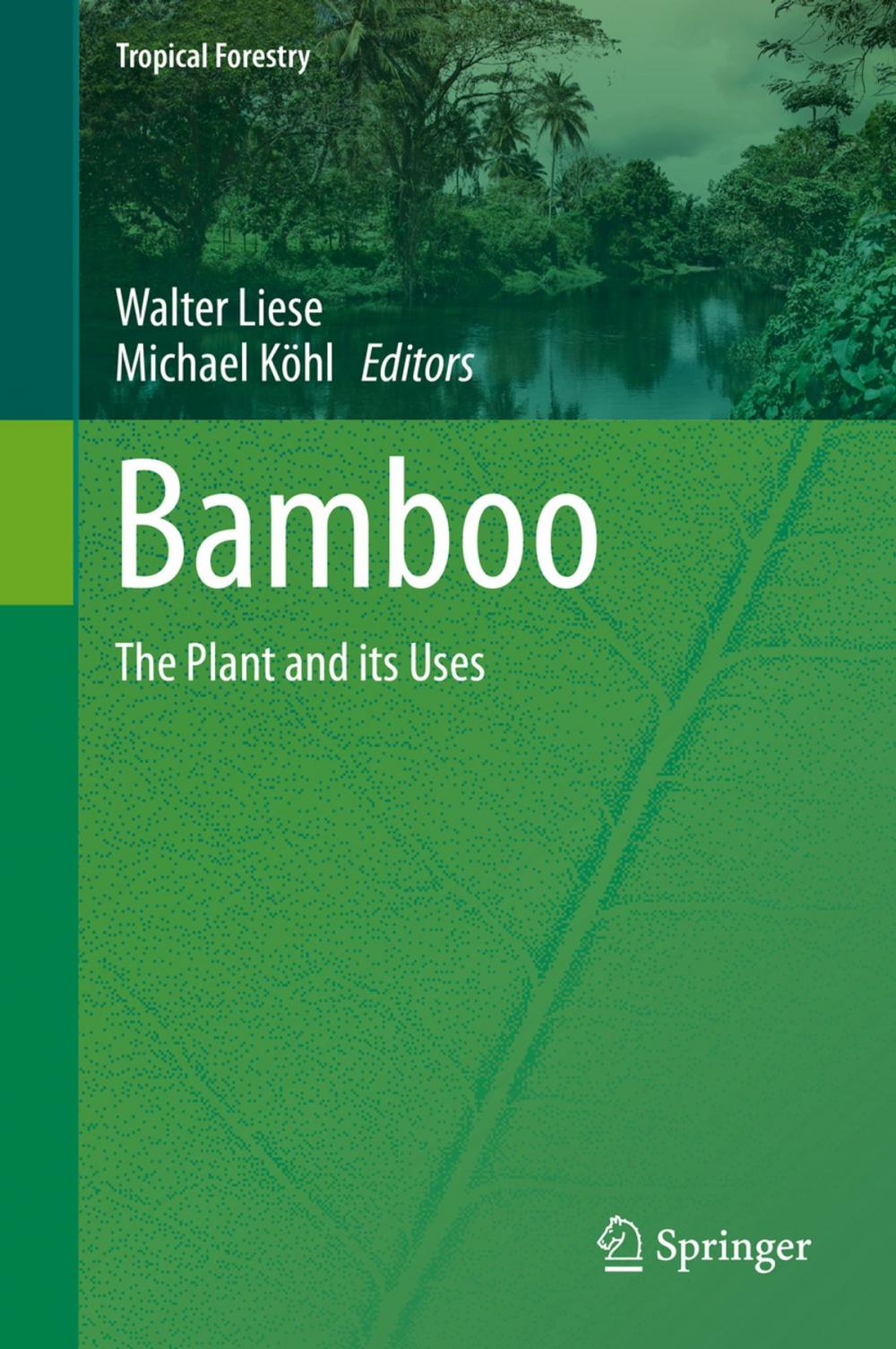 Big bigCover of Bamboo