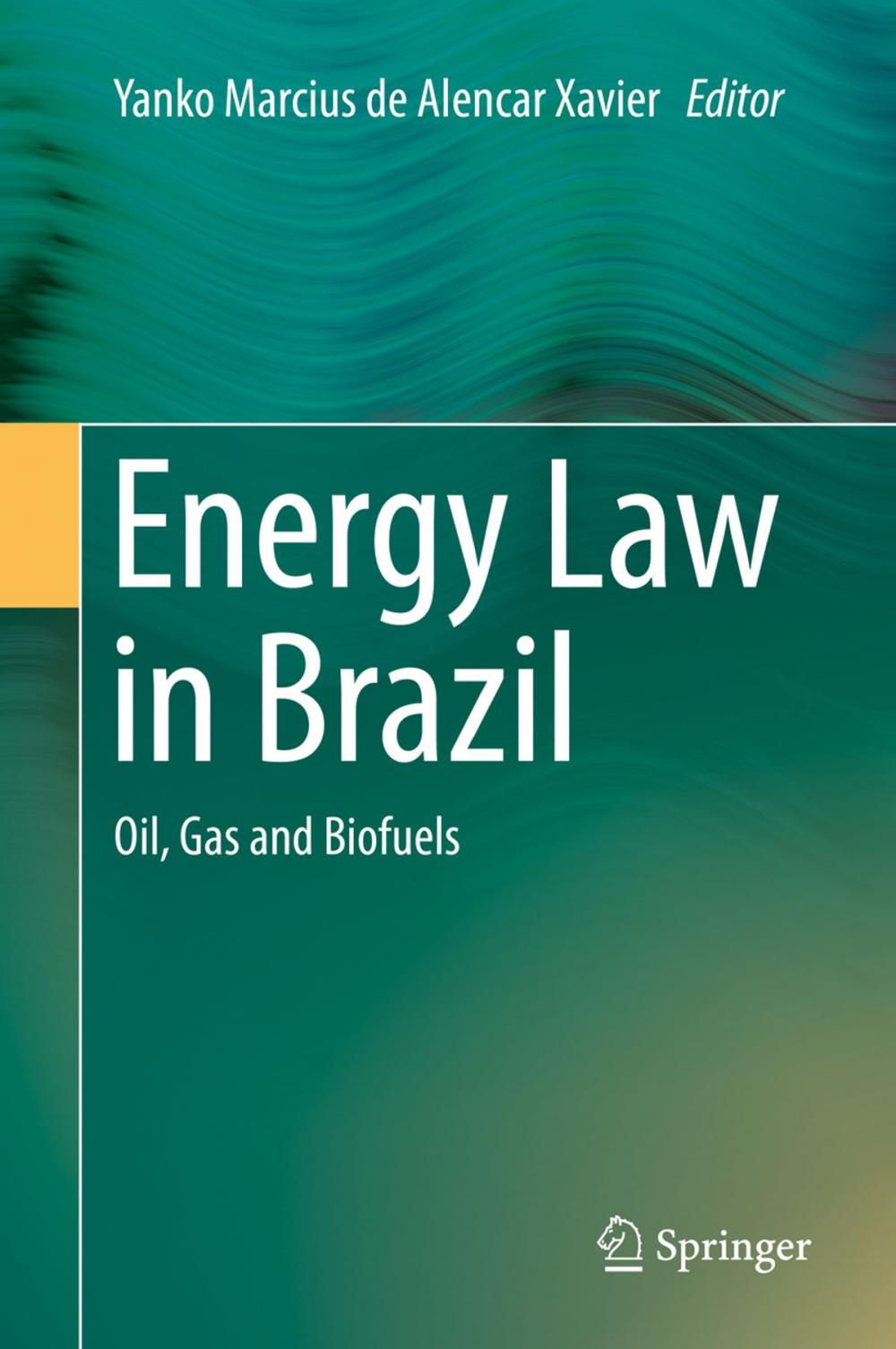 Big bigCover of Energy Law in Brazil