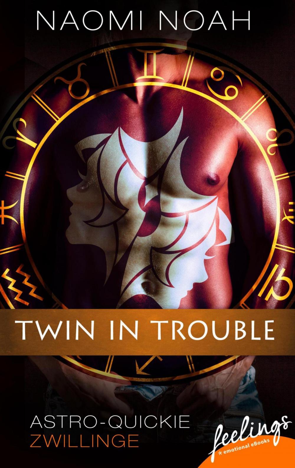 Big bigCover of Twin in Trouble