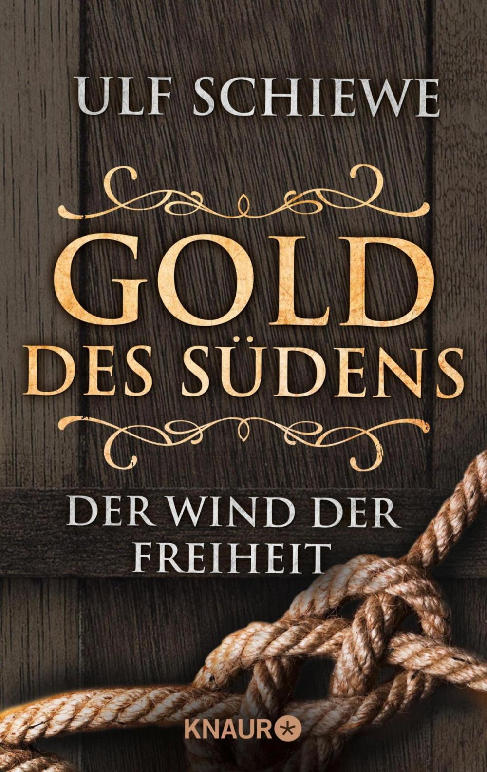 Big bigCover of Gold des Südens 2