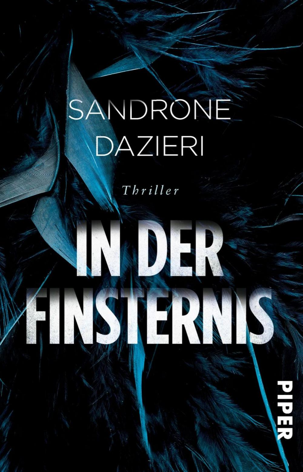 Big bigCover of In der Finsternis