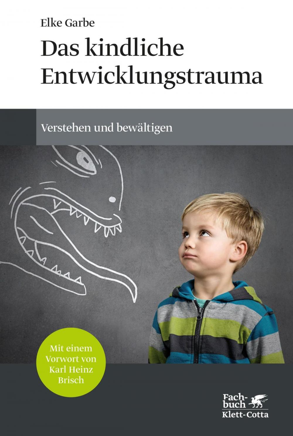 Big bigCover of Das kindliche Entwicklungstrauma