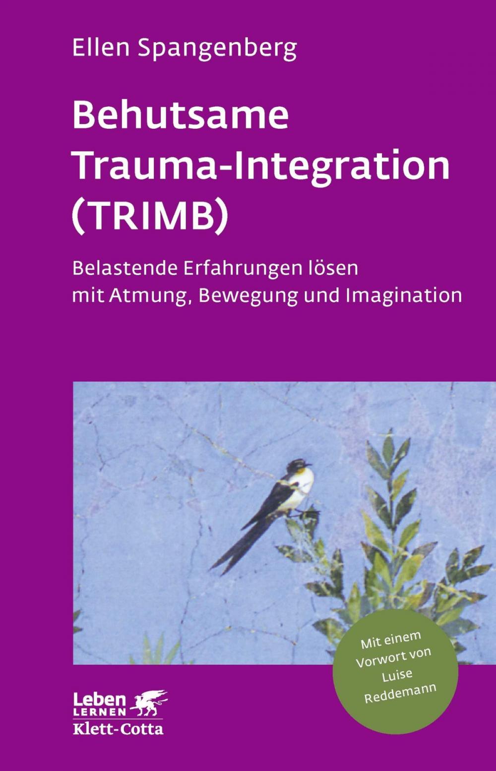 Big bigCover of Behutsame Trauma-Integration (TRIMB)