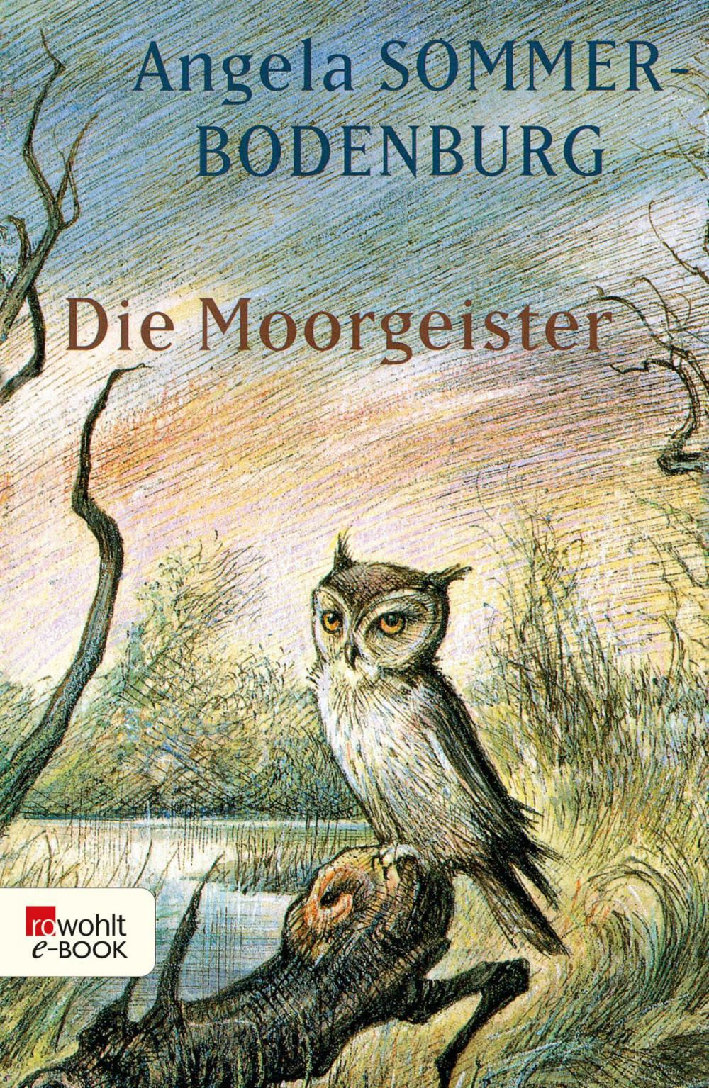 Big bigCover of Die Moorgeister