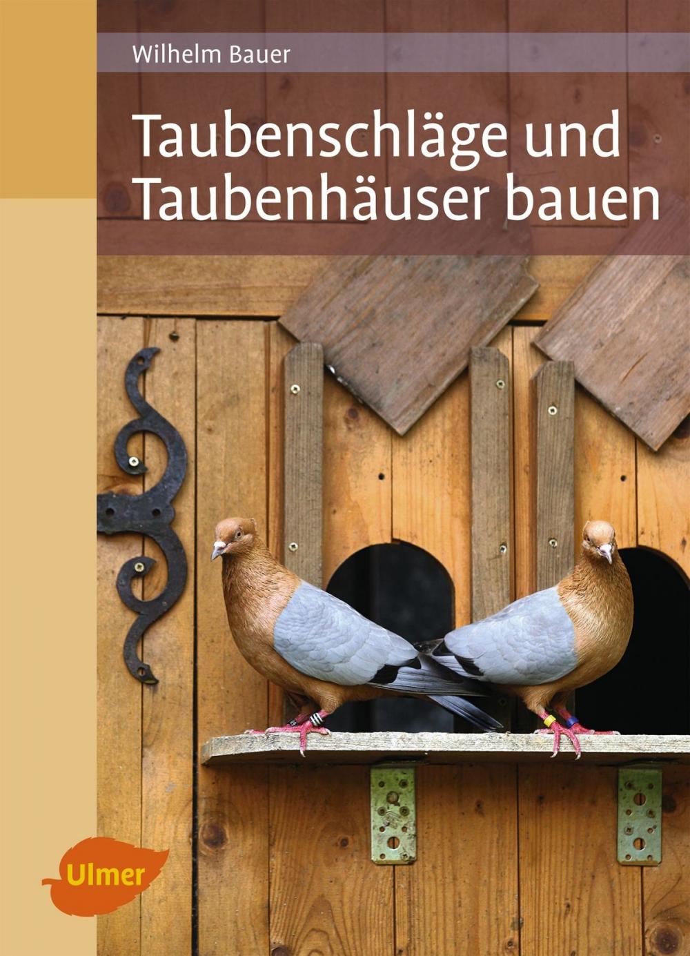 Big bigCover of Taubenschläge und Taubenhäuser bauen