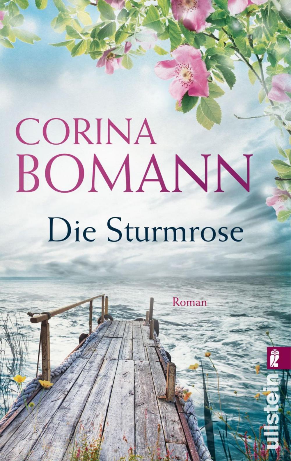 Big bigCover of Die Sturmrose