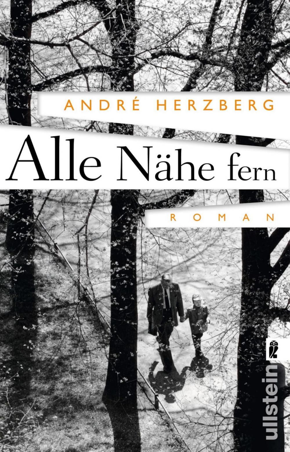 Big bigCover of Alle Nähe fern