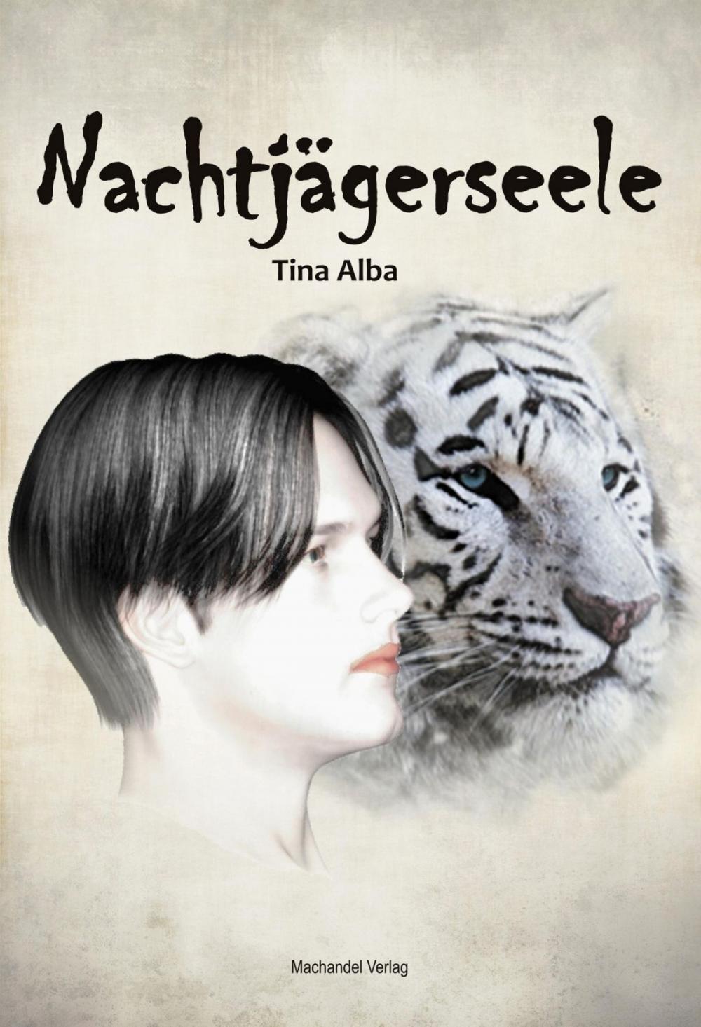 Big bigCover of Nachtjägerseele