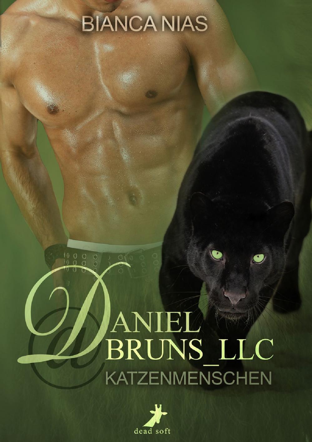 Big bigCover of Daniel@Bruns_LLC