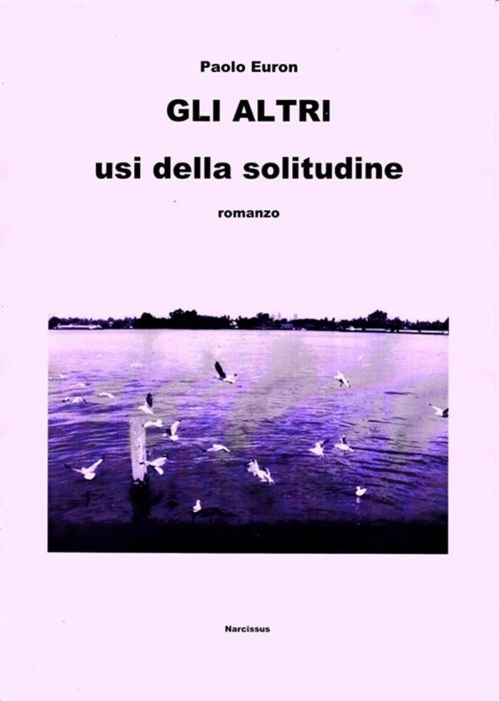 Big bigCover of Gli altri usi della solitudine