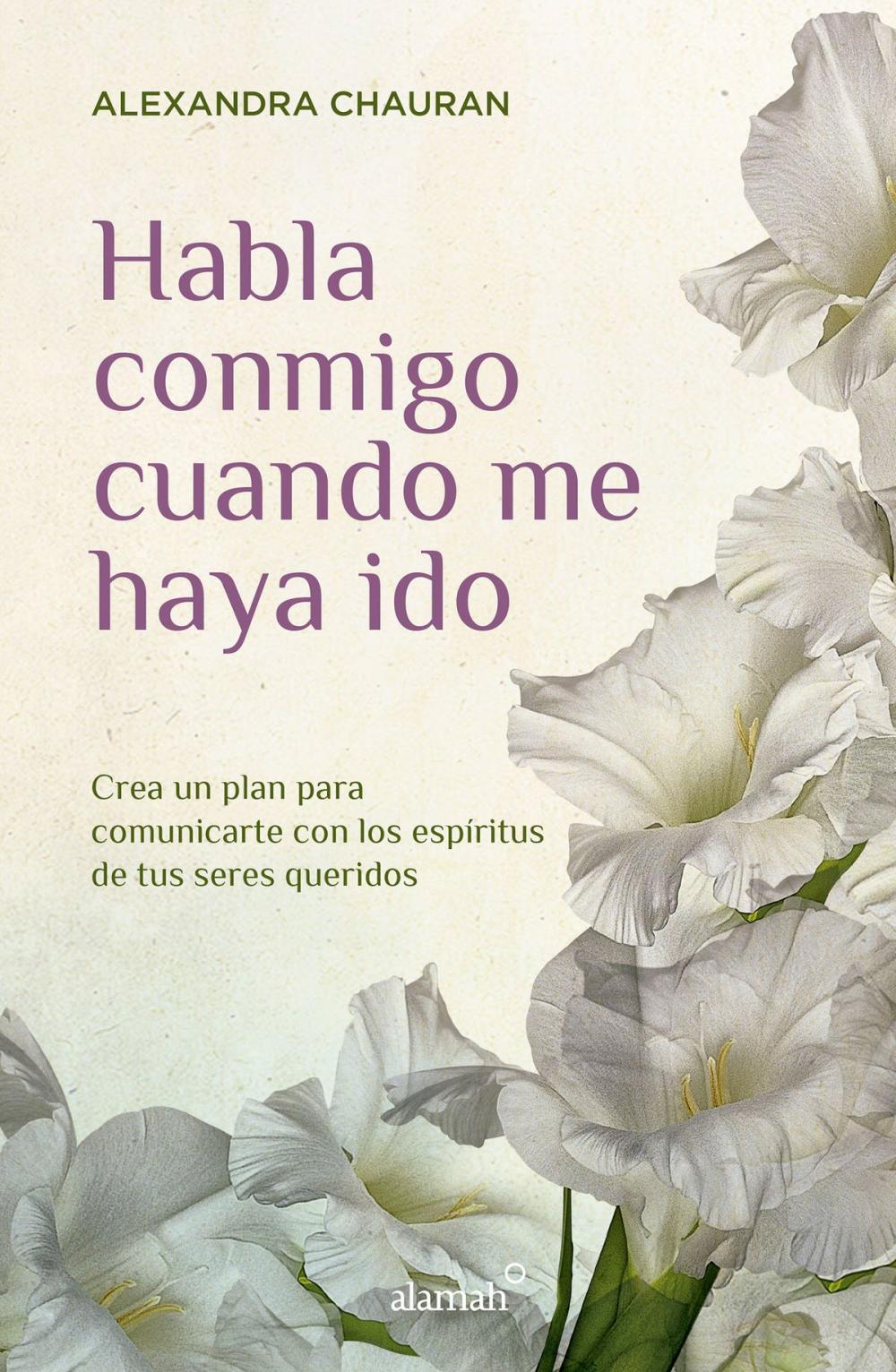 Big bigCover of Habla conmigo cuando me haya ido