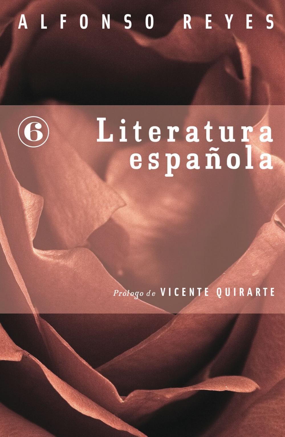 Big bigCover of Literatura española