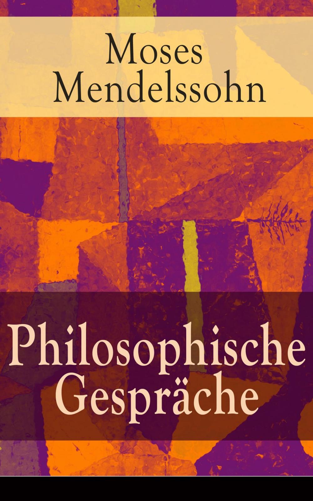 Big bigCover of Philosophische Gespräche