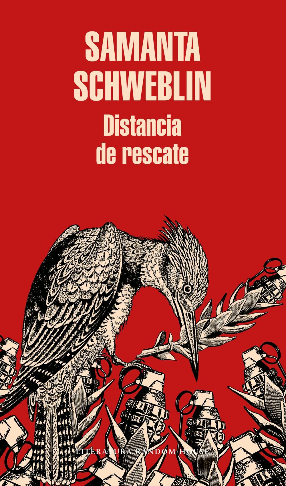 Big bigCover of Distancia de rescate