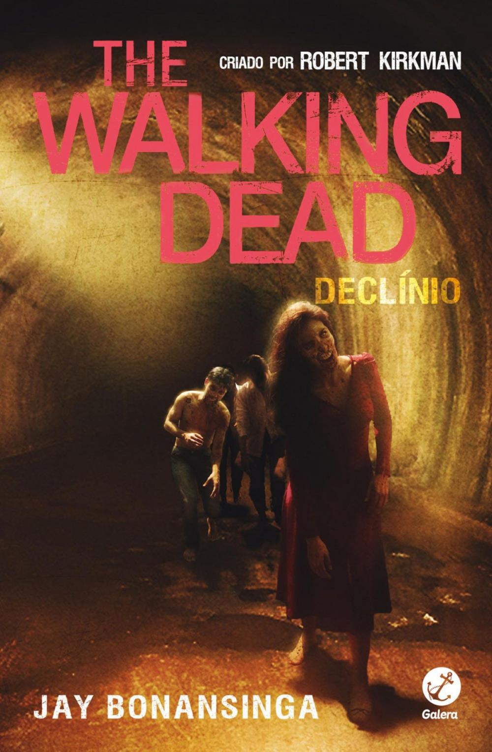 Big bigCover of Declínio - The Walking Dead - vol. 5