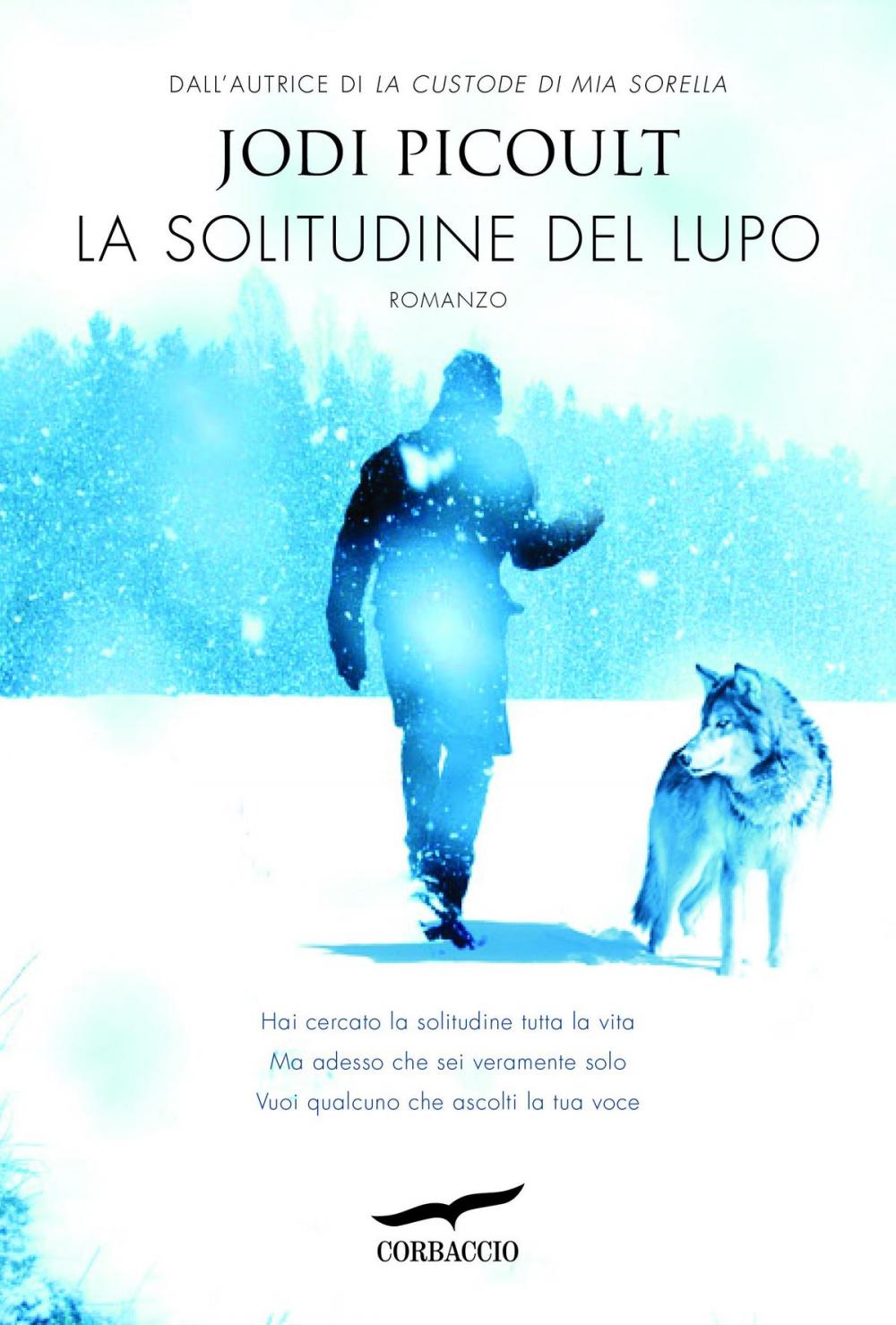 Big bigCover of La solitudine del lupo