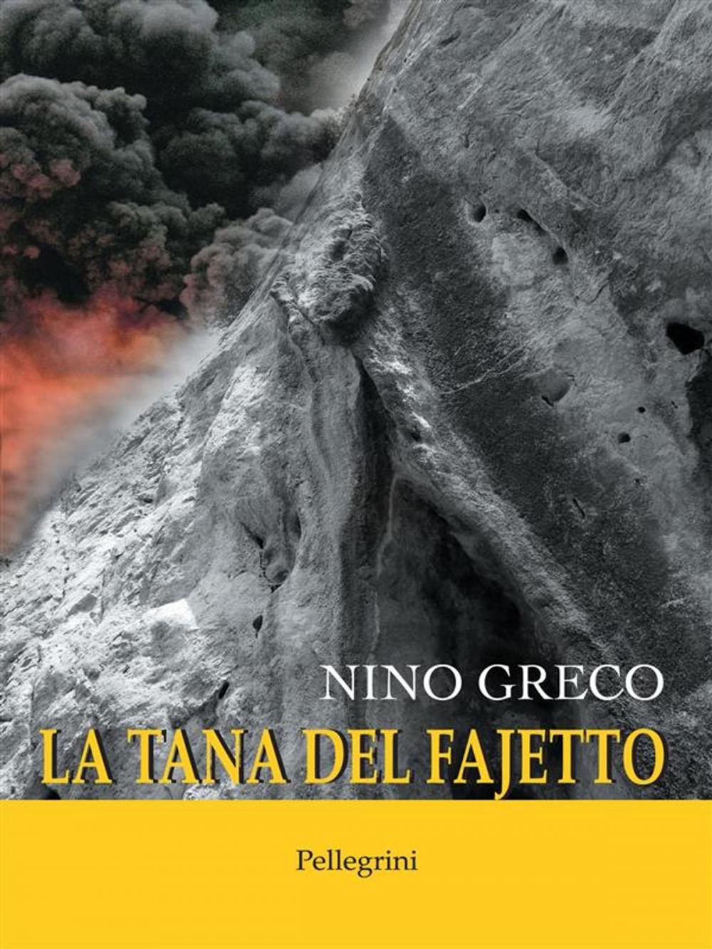 Big bigCover of La tana del fajetto