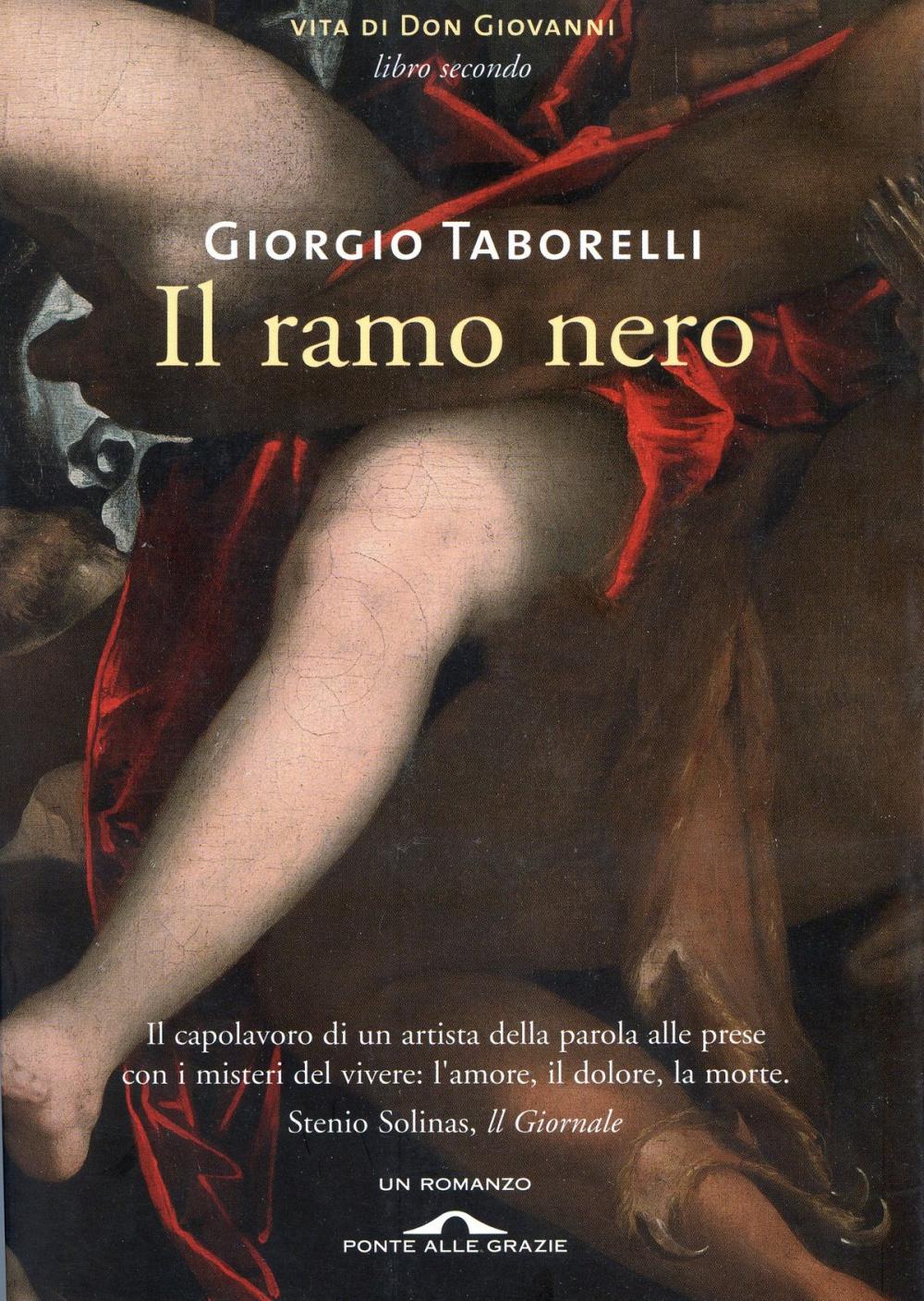 Big bigCover of Il ramo nero