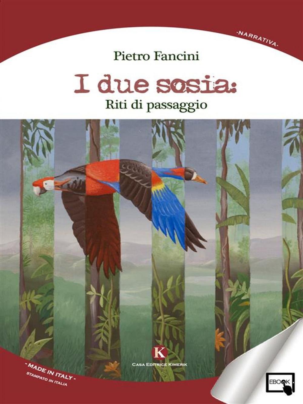 Big bigCover of I due sosia: riti di passaggio