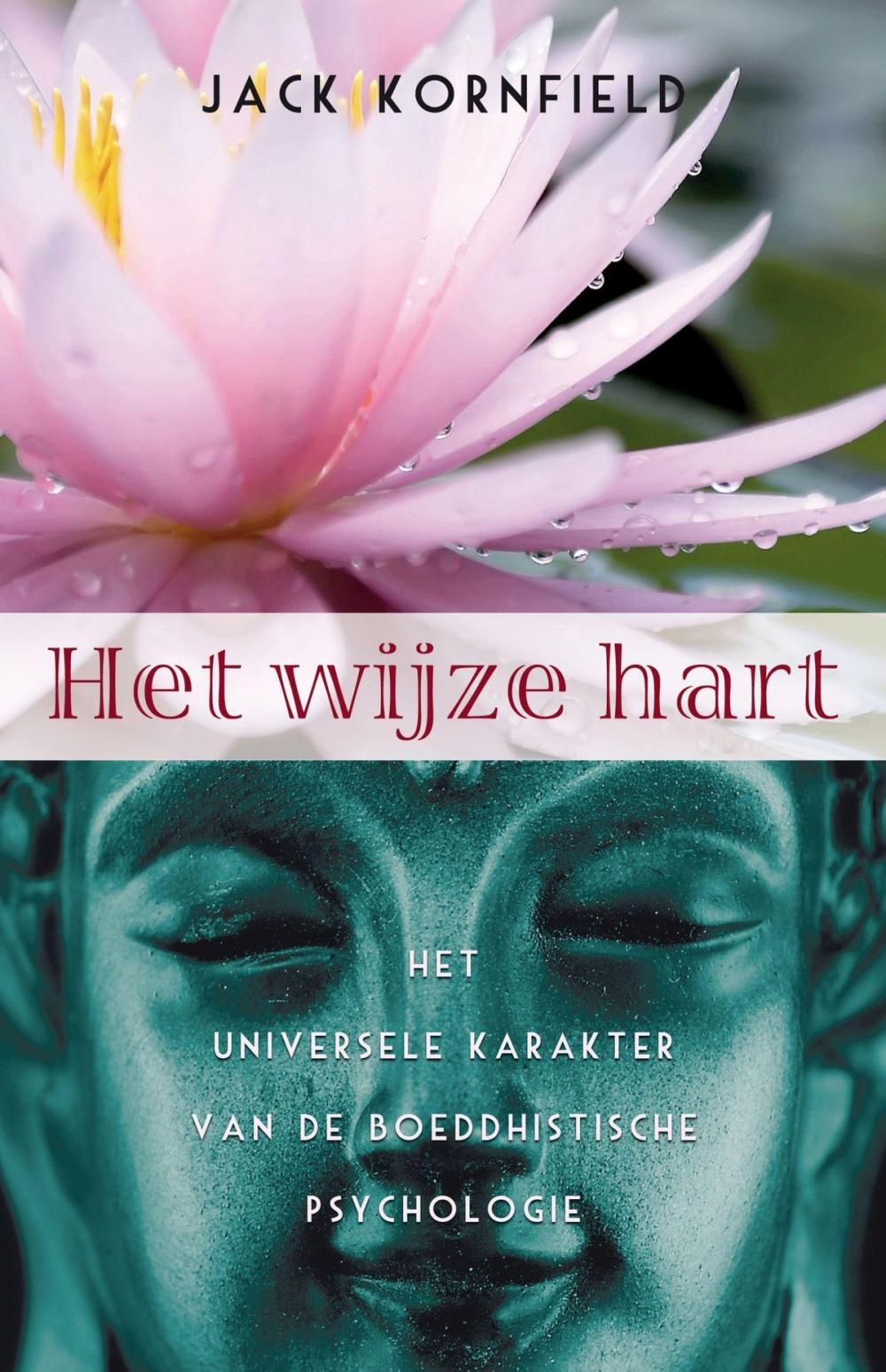 Big bigCover of Het wijze hart