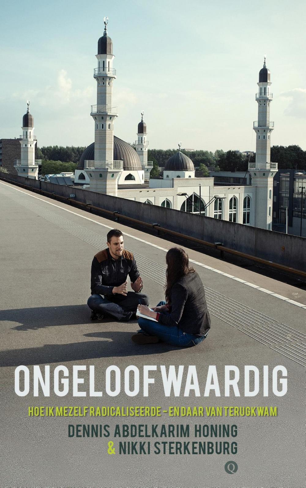 Big bigCover of Ongeloofwaardig