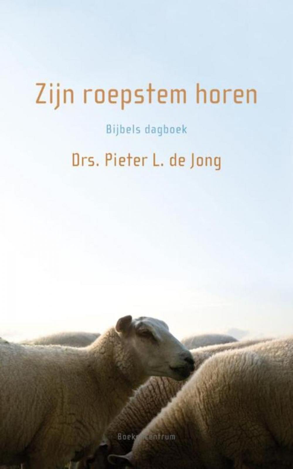 Big bigCover of Zijn roepstem horen