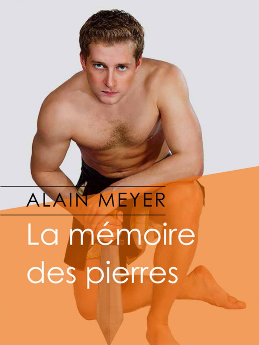 Big bigCover of La mémoire des pierres