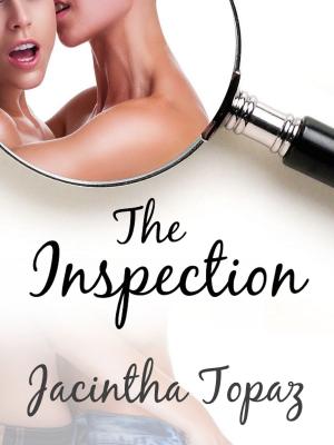 Book cover of The Inspection