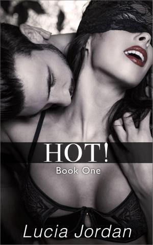 Cover of the book HOT! by P.K. Wilder