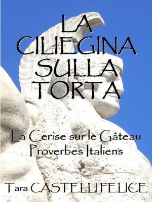 Cover of the book Proverbes Italiens by ギラッド作者