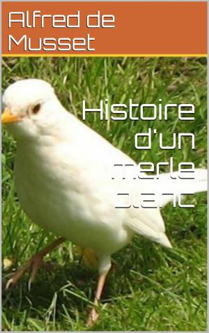 Book cover of Histoire d'un merle blanc
