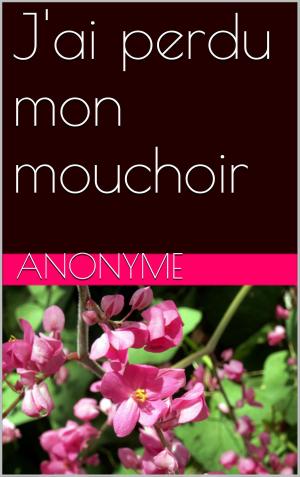 Cover of the book J'ai perdu mon mouchoir by Cicéron