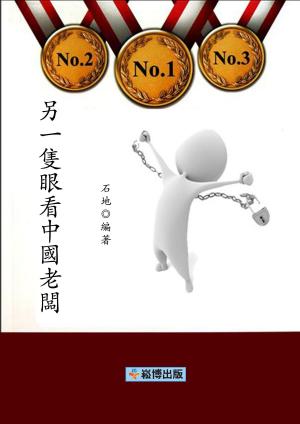 Cover of the book 另一隻眼看中國老闆 by Gabriel Angelo